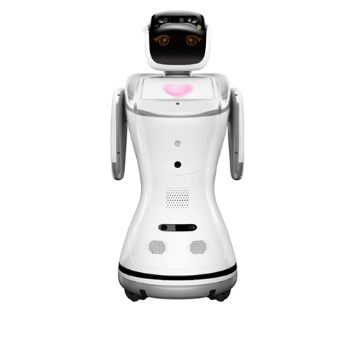 Q9S dual-screen guest robot